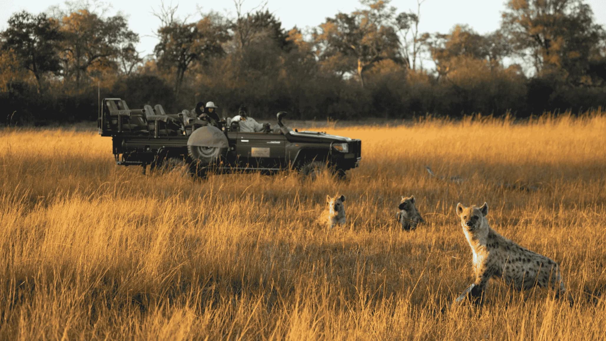 Fiordland National Park