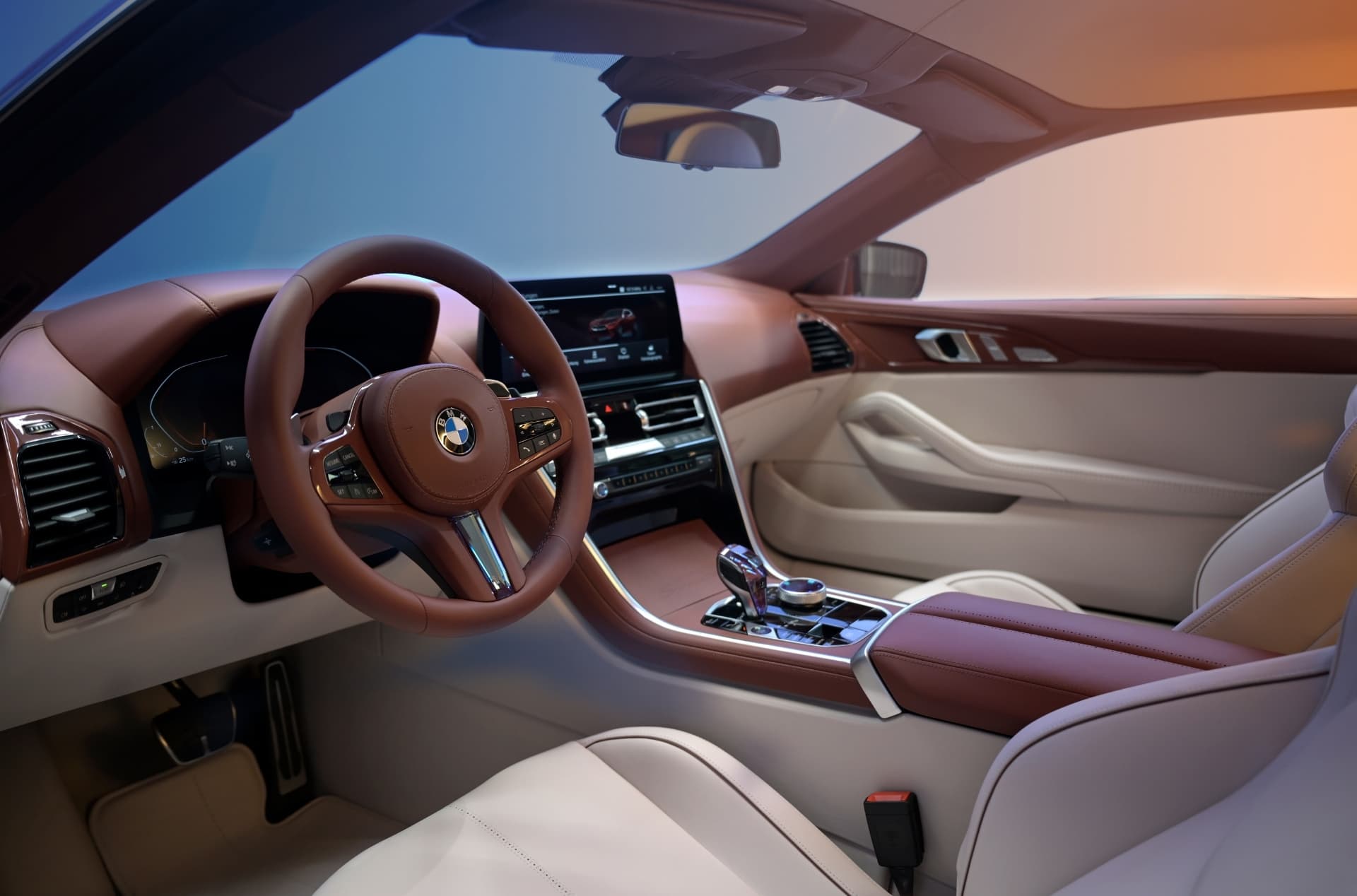 interiors of BMW Concept Speedtop