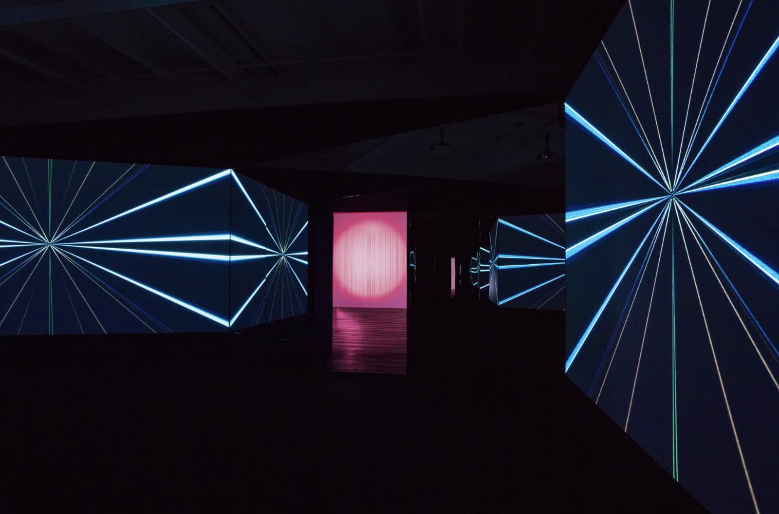 Doug Aitken Exhibition in India