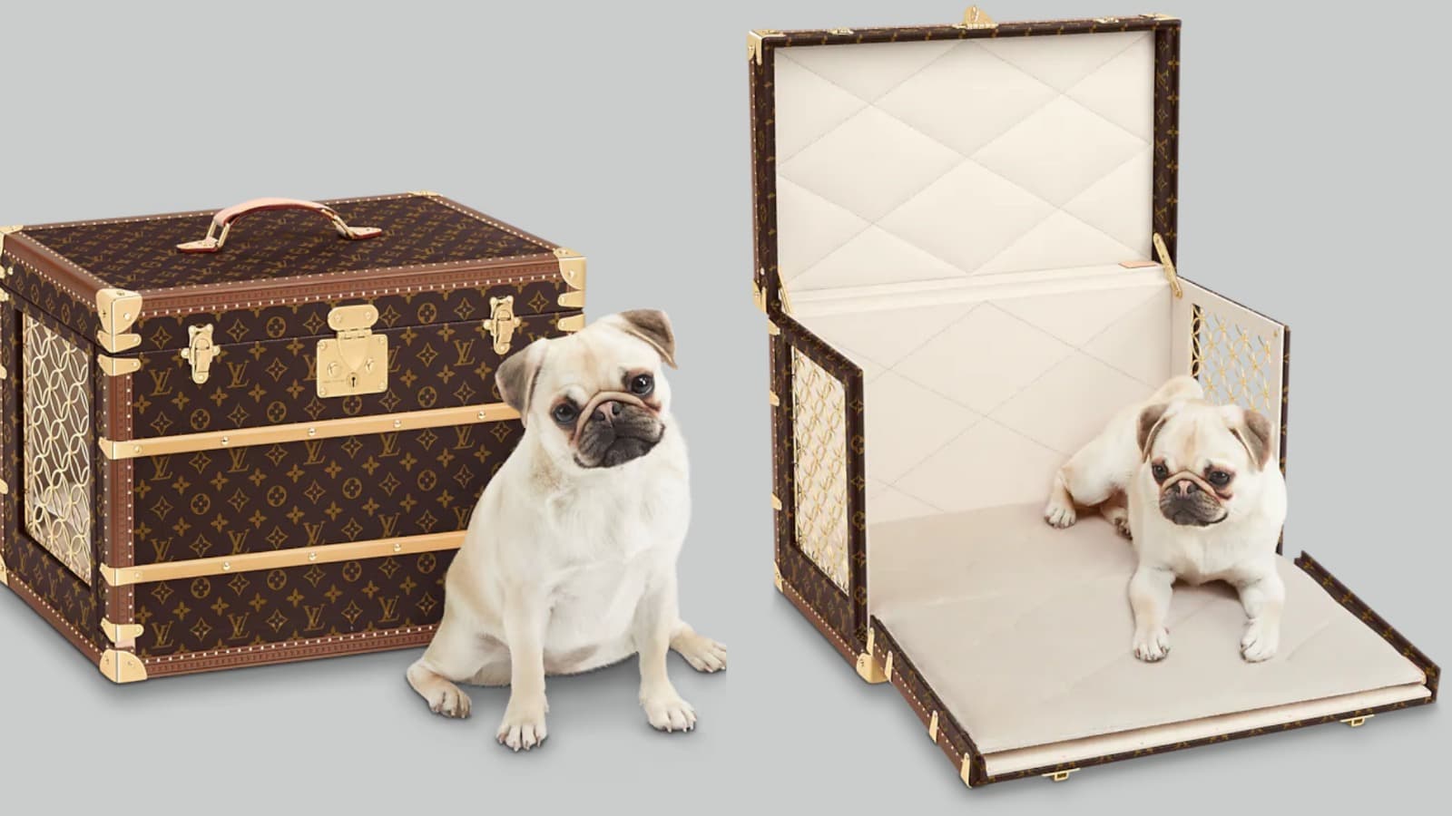 Louis Vuitton Malle Chien