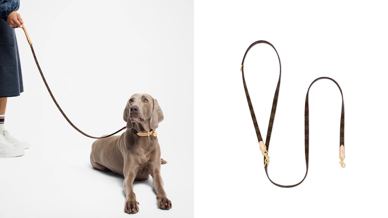 Louis Vuitton Crossbody Dog Leash