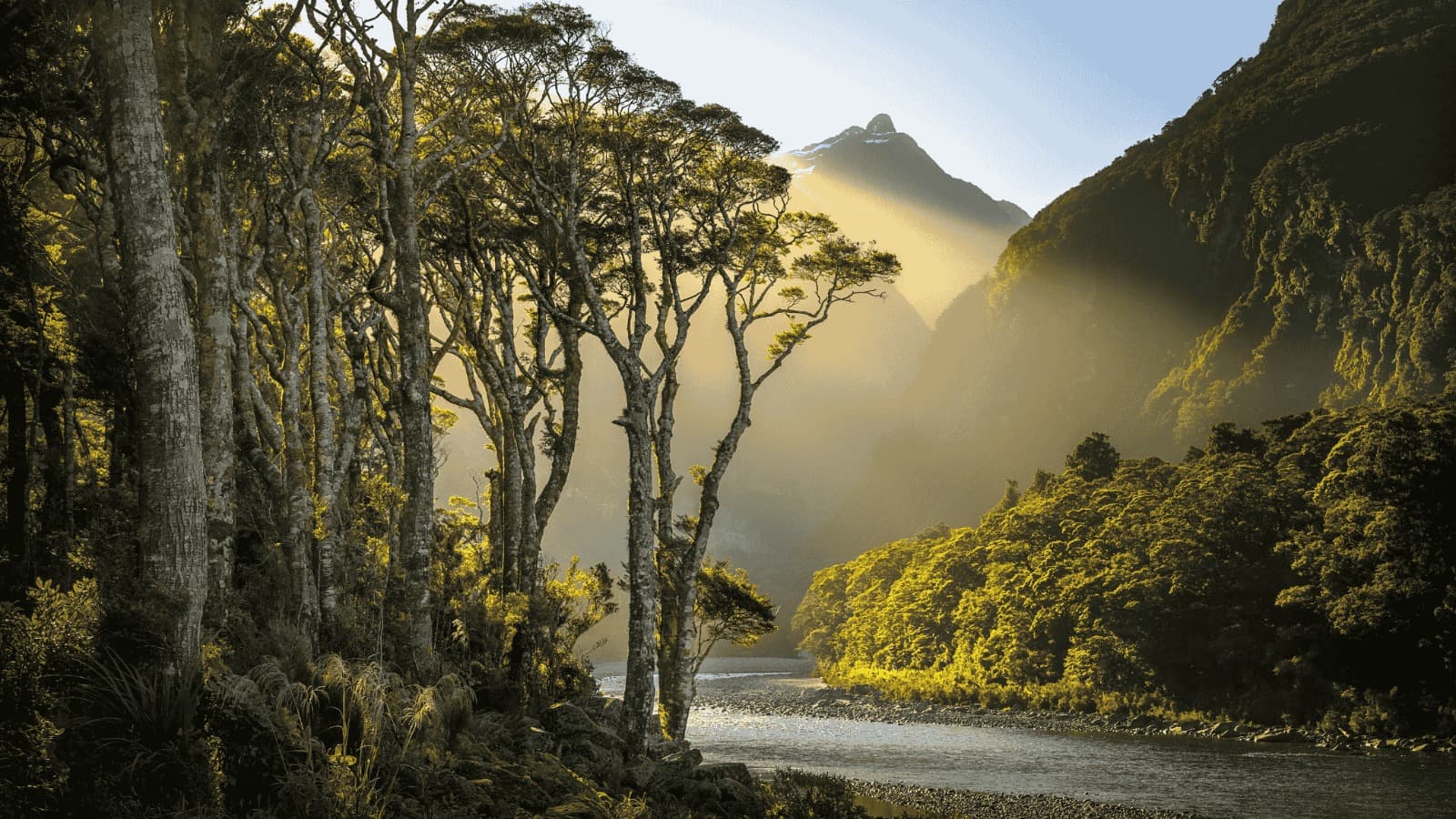 Fiordland National Park