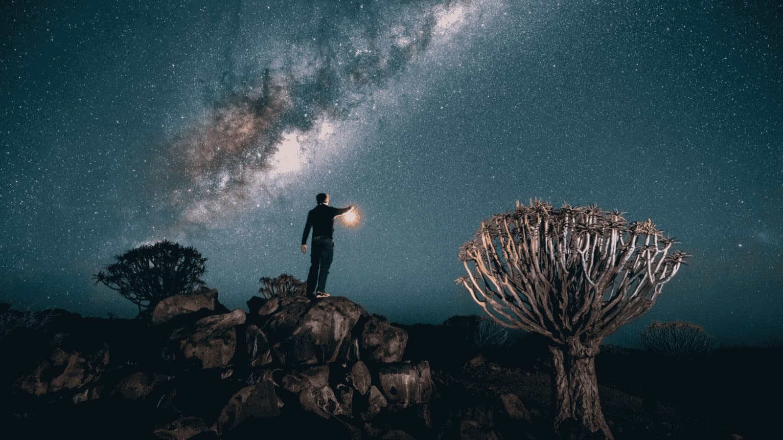 Namibrand Nature Reserve, Namibia