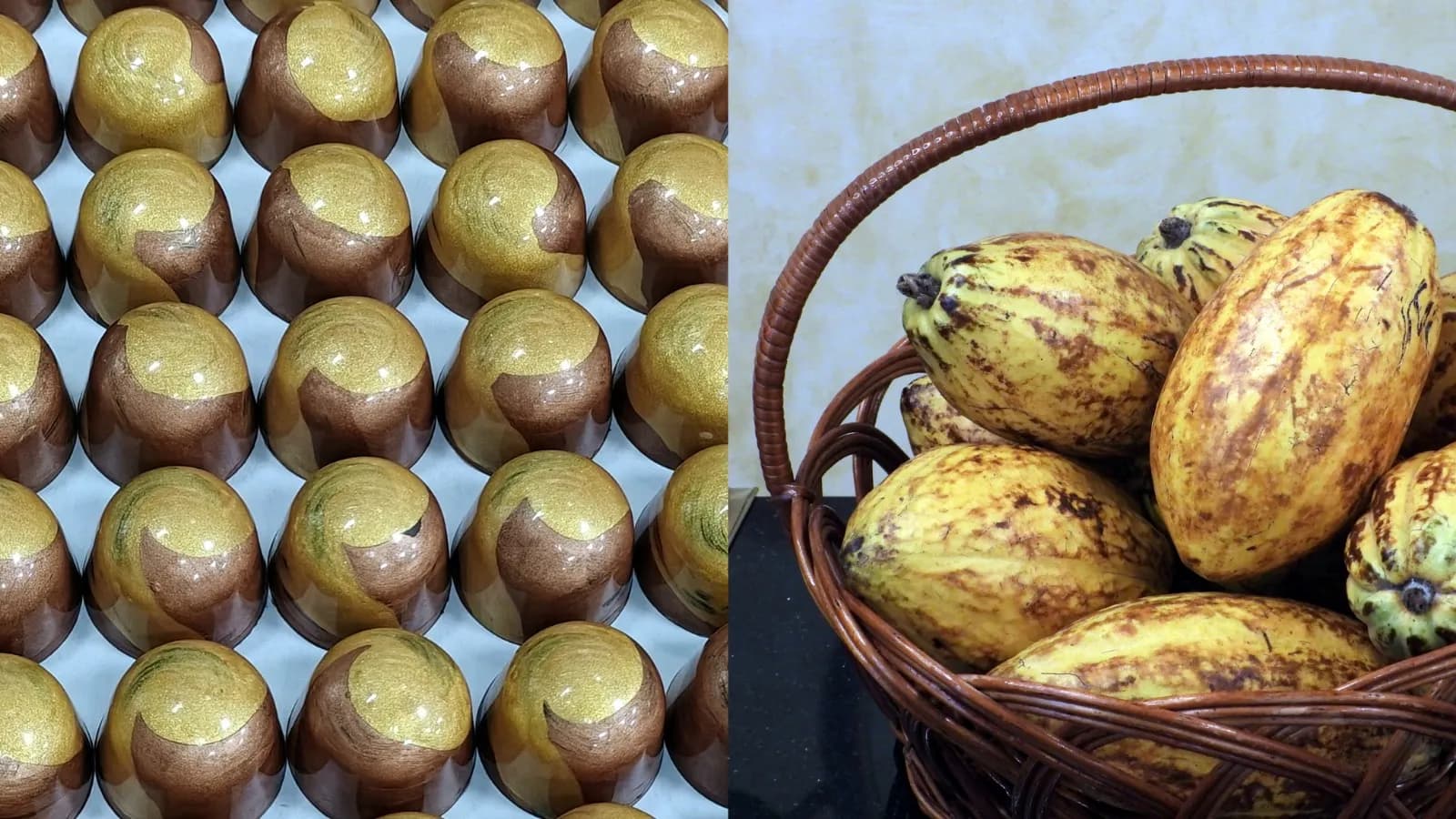 Smoor's Chocolate Experience